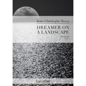 Dreamer on a landscape