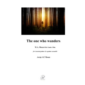 Mozart - The one who wanders - a. & e. guitars ensemble