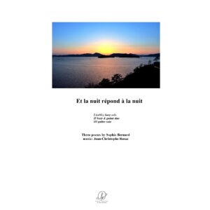 Et la nuit répond à la nuit - (celtic) harp & guitar