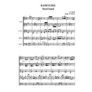 Bach - Suite n° 2 in B minor - Badinerie - steelpans