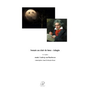 Beethoven - Sonate au clair de lune - Adagio - 2 or 3 guitars